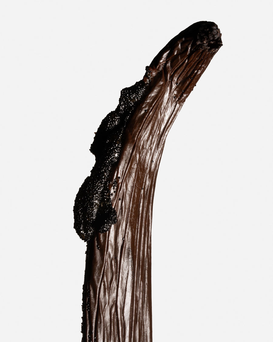 Caviar de vanille : grains noirs brillants extraits d'une gousse — Galand Vanille