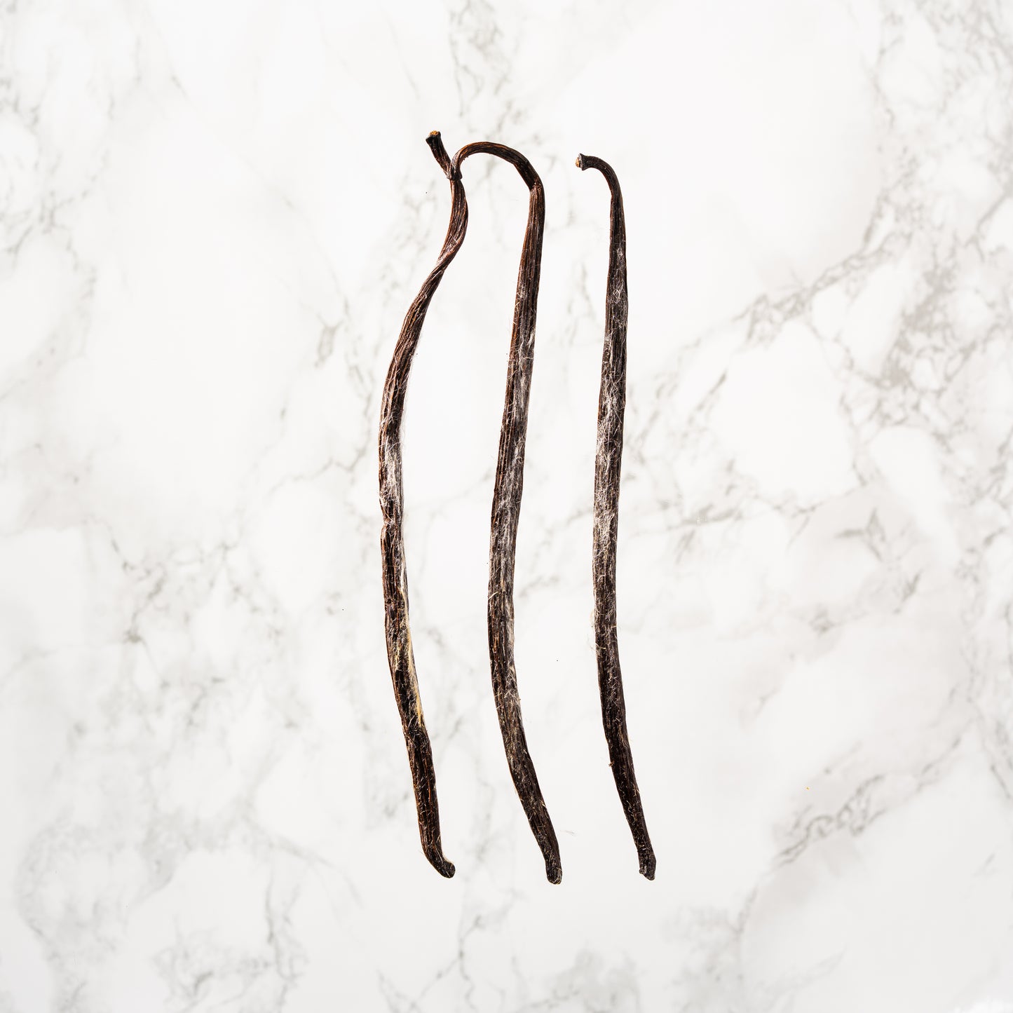 Vanille planifolia givrée de Bretagne