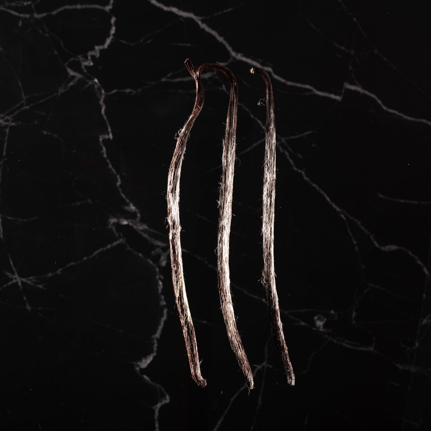 Vanille planifolia givrée de Bretagne