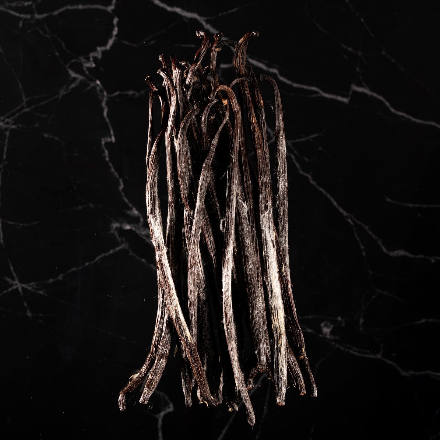 Vanille planifolia givrée de Bretagne