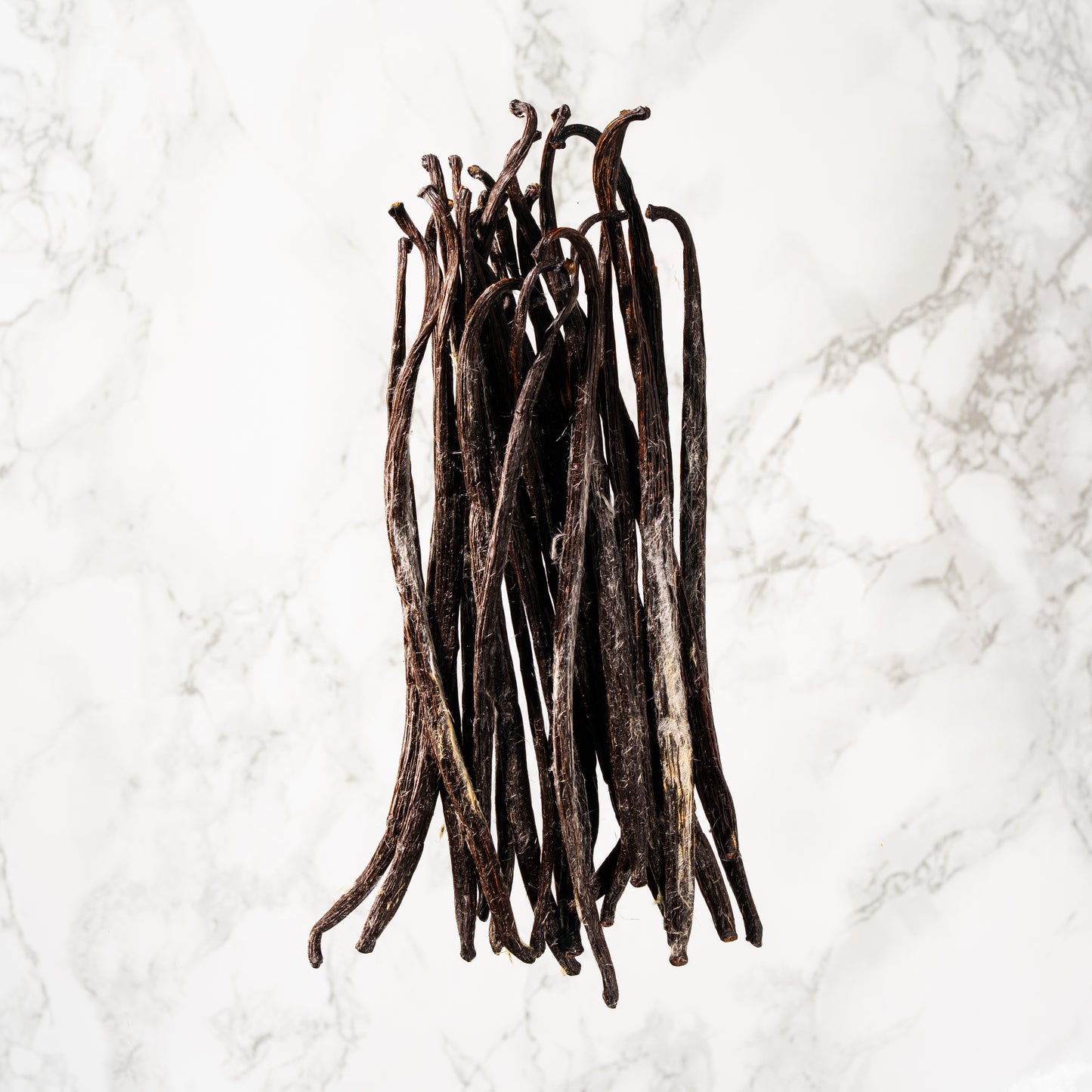 Vanille planifolia givrée de Bretagne