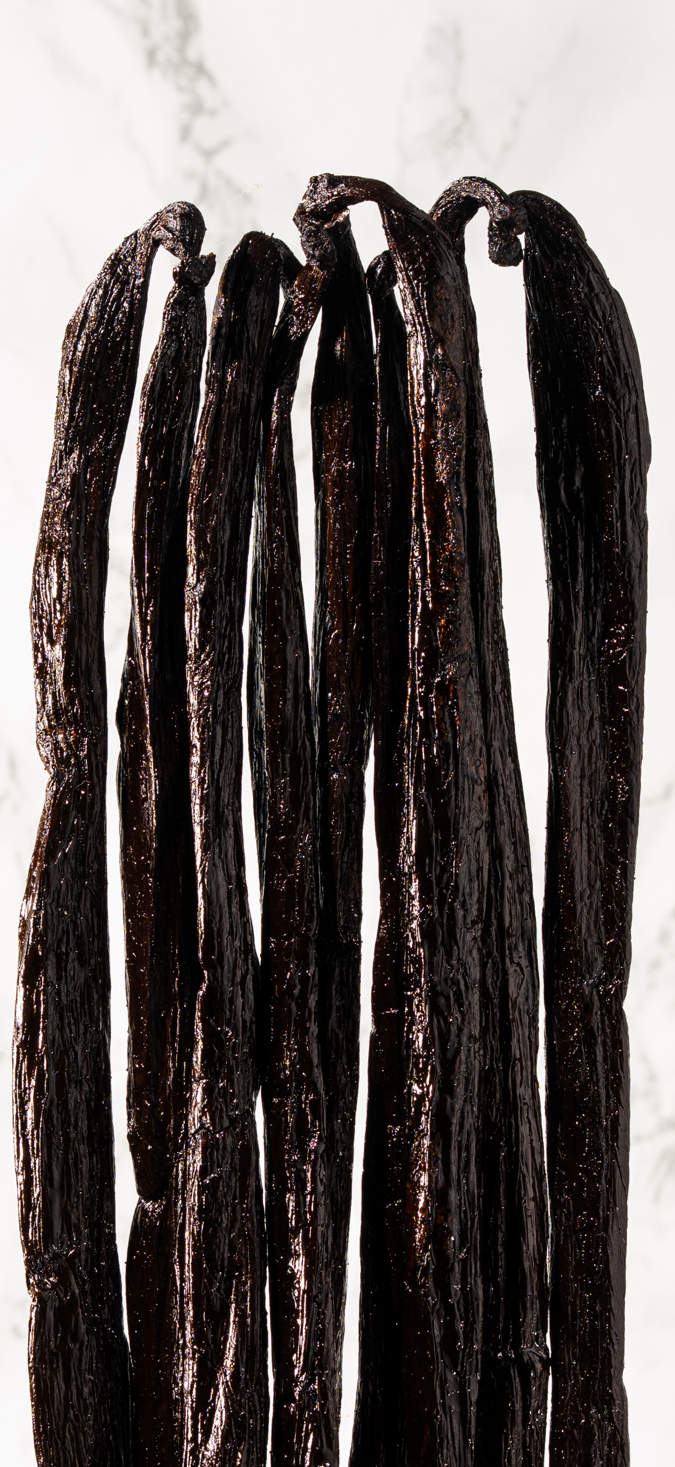 Vanille pompona Tsy Taitry de Madagascar