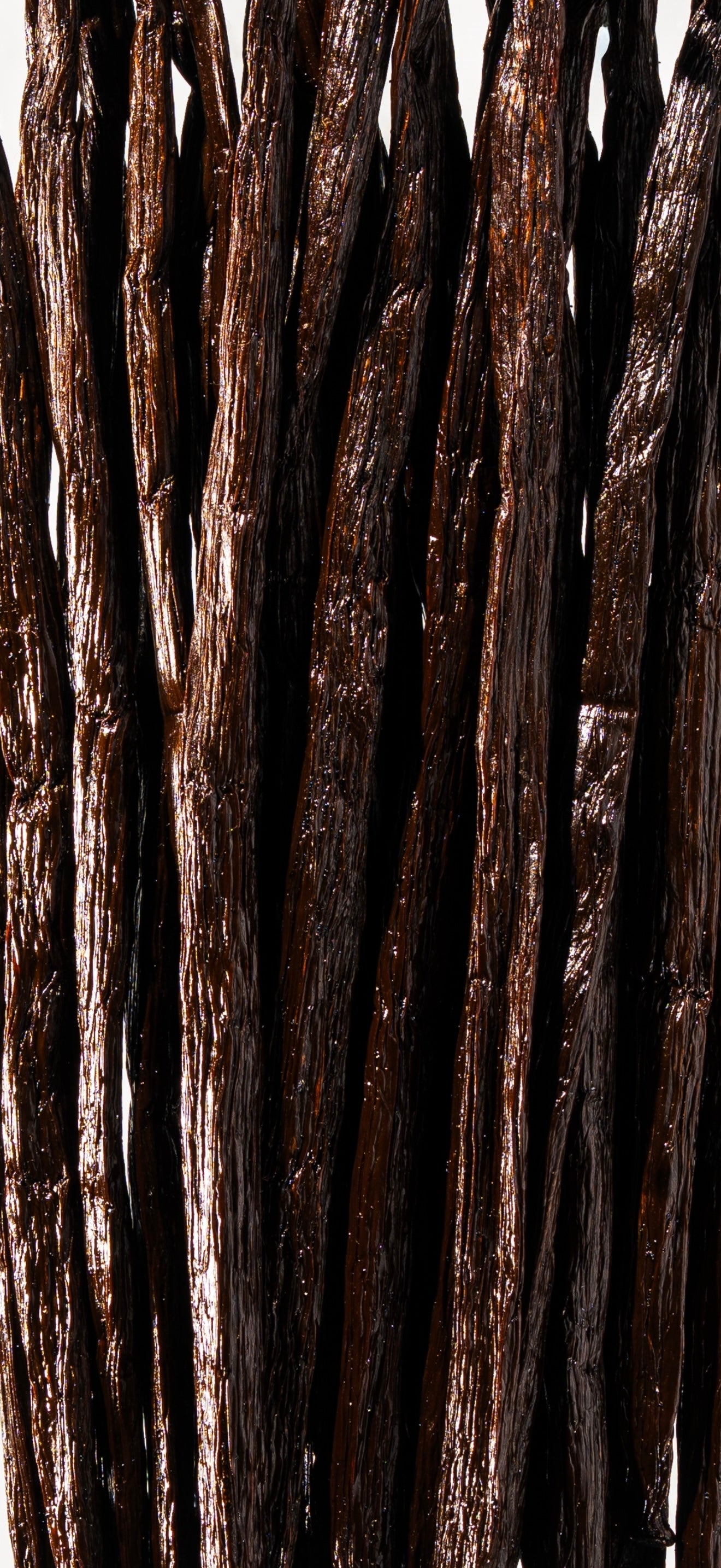 Vanille planifolia Bourbon de Madagascar