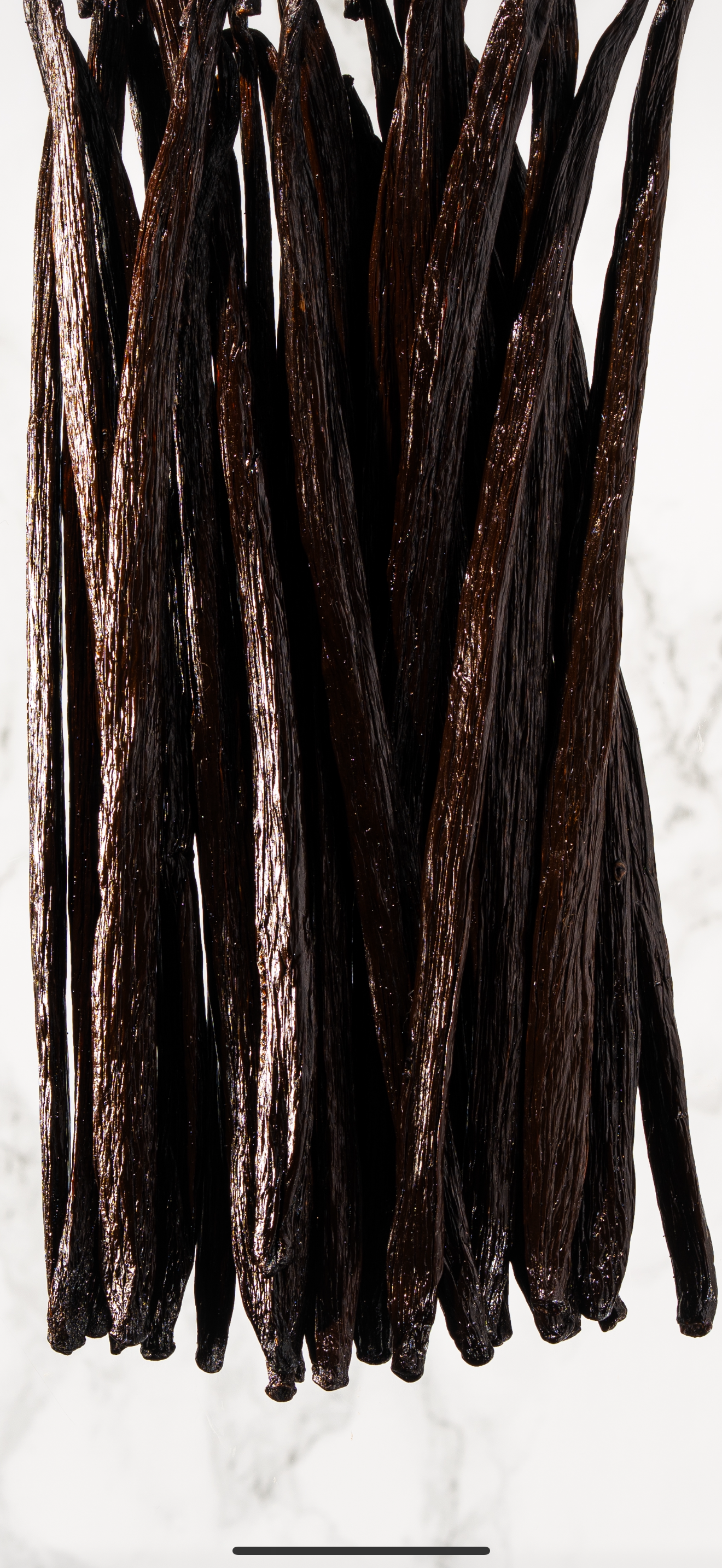 Vanille planifolia du Mexique