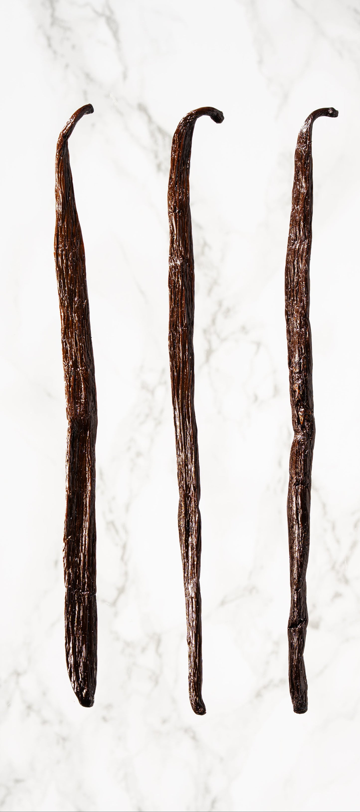 Vanille Planifolia Bourbon de Madagascar PROFESSIONNEL