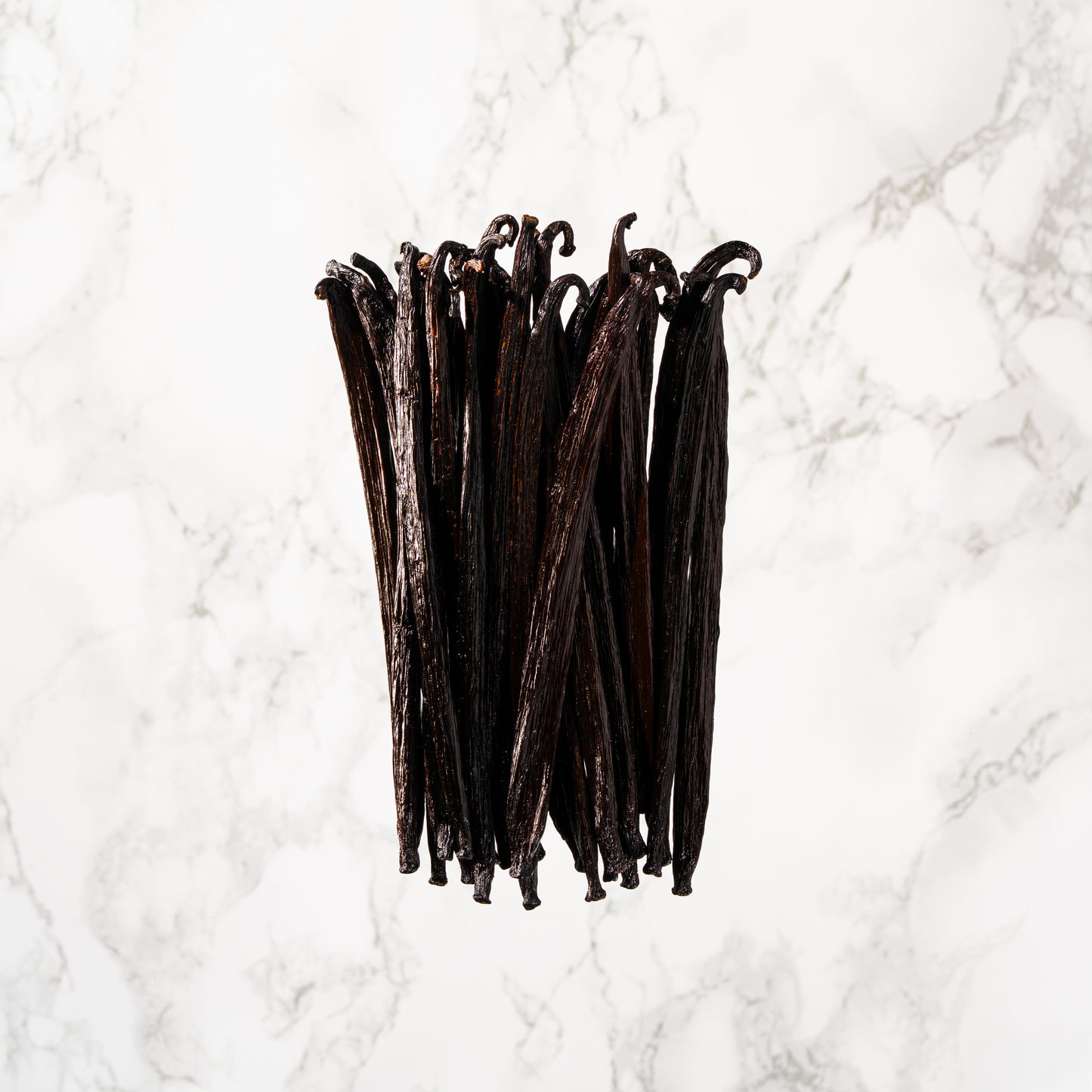 Vanille tahitensis de Papouasie Nouvelle-Guinée