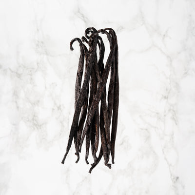 Vanille Odorata d’Équateur professionnel