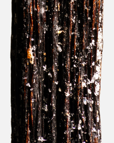 Vanille planifolia givrée de Guadeloupe