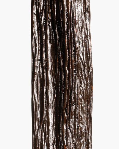Vanille Planifolia d'Inde