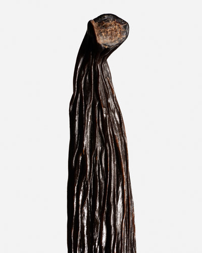 Vanille Tahitensis d'Équateur