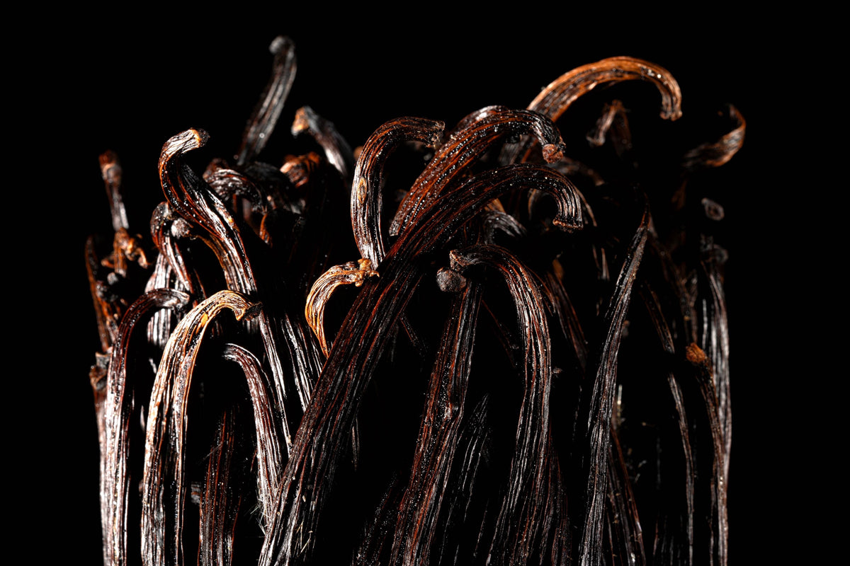 Gousses de vanille planifolia d'Indonésie sur fond noir, pour jus, sauces et plats salés