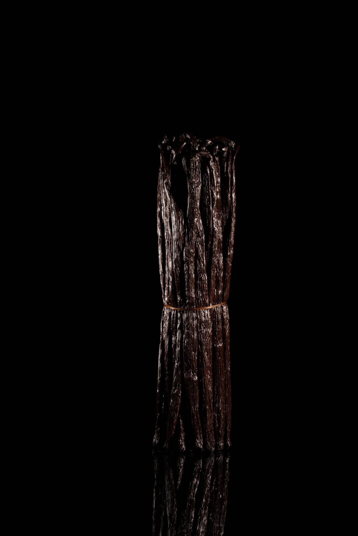 Botte de gousses de vanille Bourbon de Madagascar, la vanille conseillée pour débuter