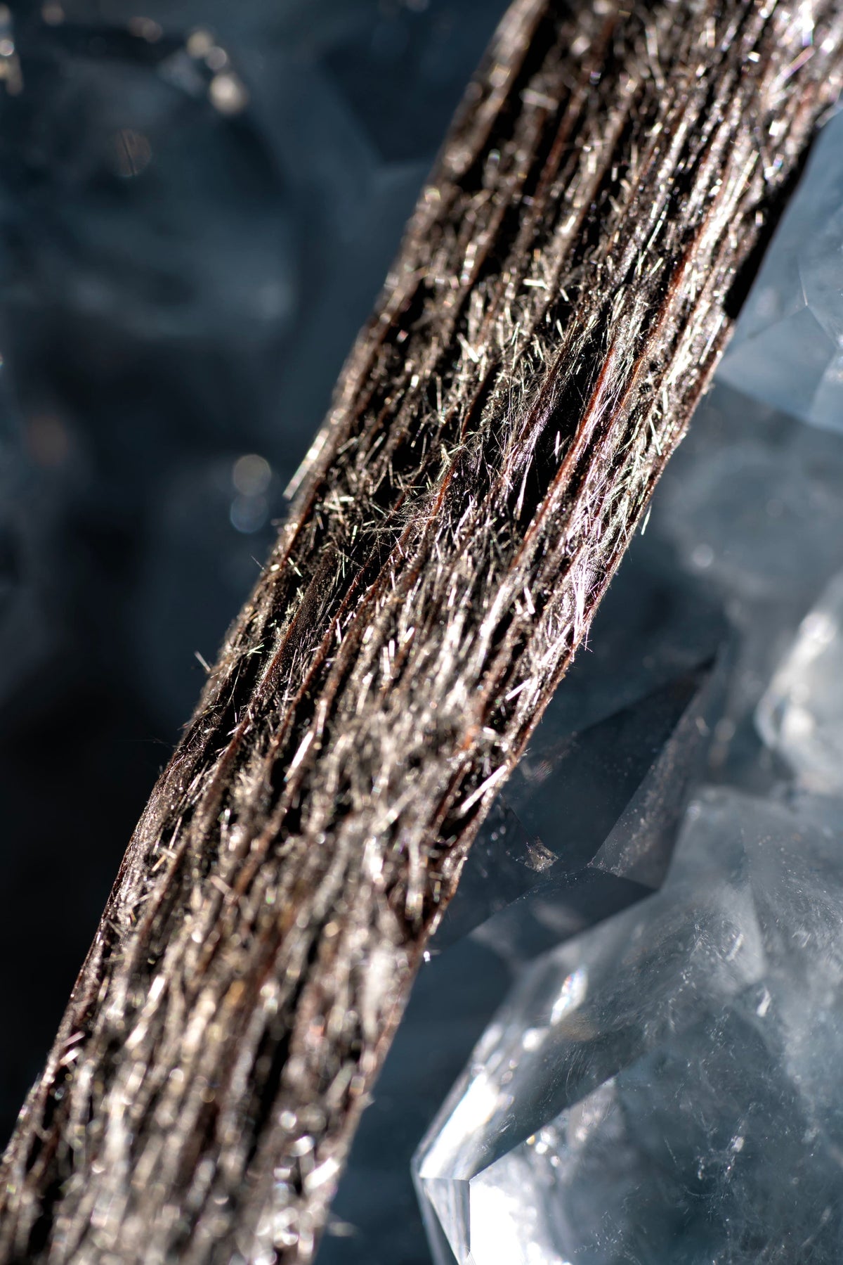 Gousse de vanille givrée de Madagascar couverte de cristaux de vanilline, pour les glaces maison