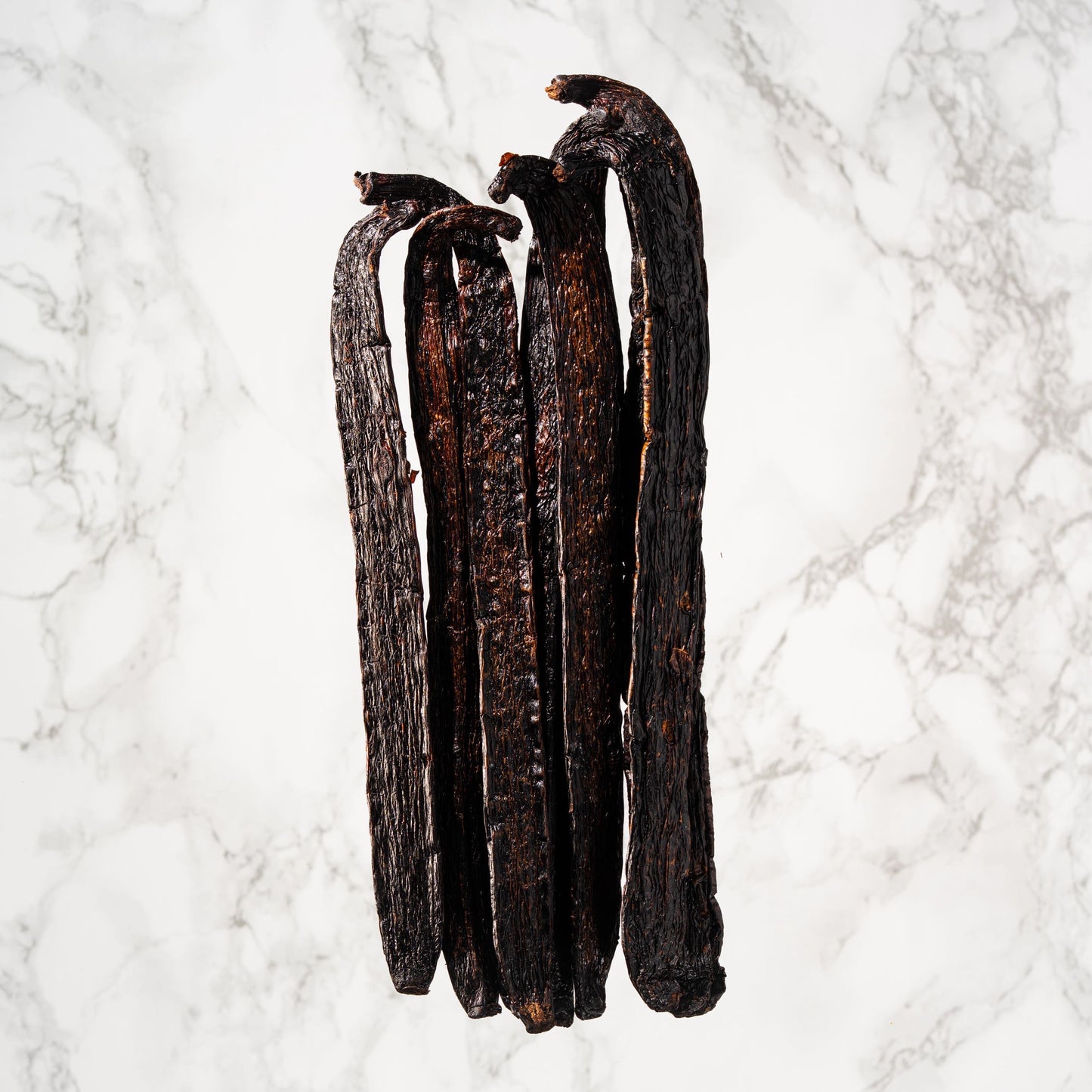 Vanille pompona du Pérou