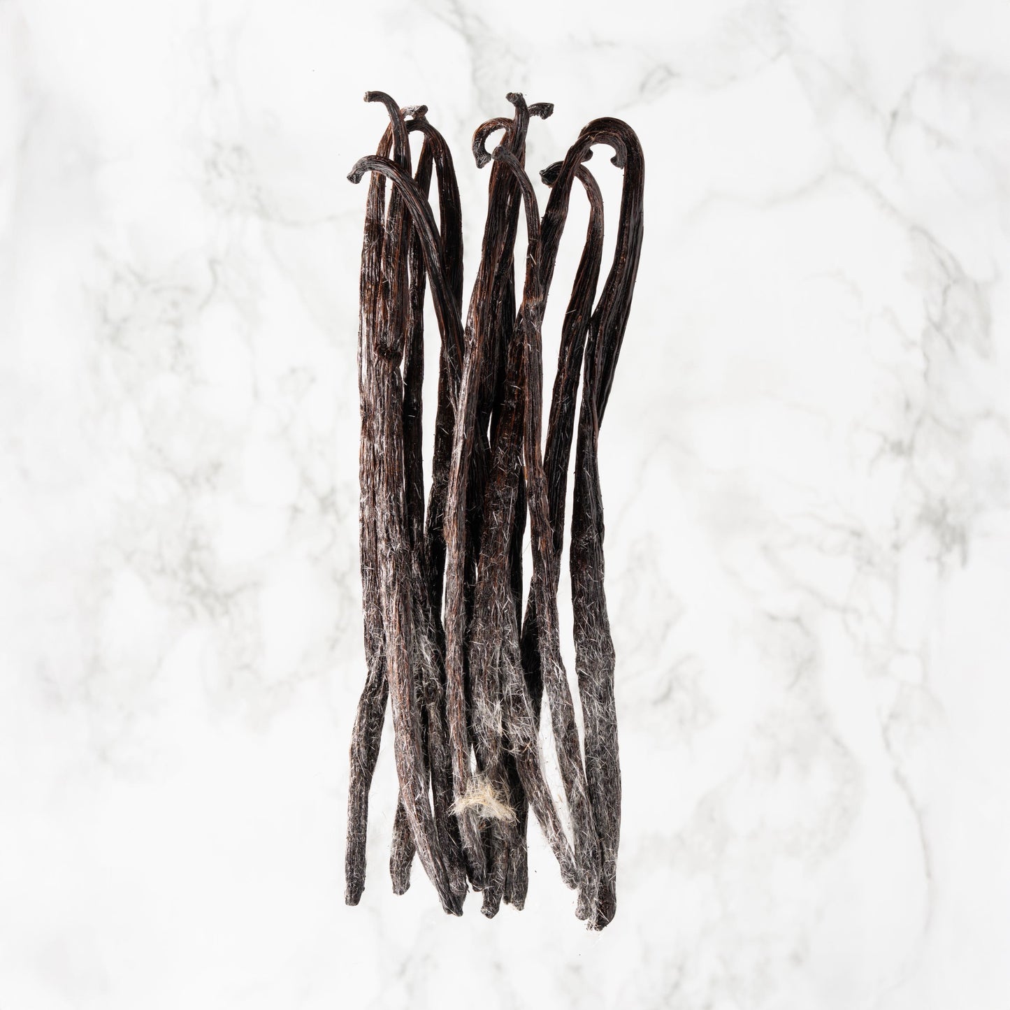 Vanille planifolia fendue givrée de Madagascar professionnel