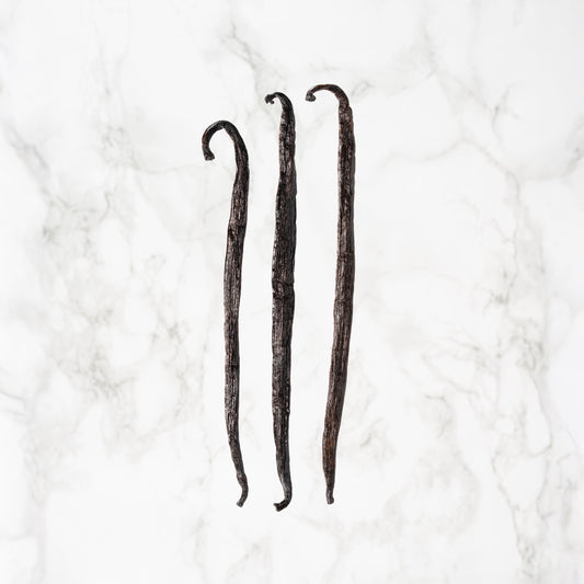 Vanille Odorata de Équateur