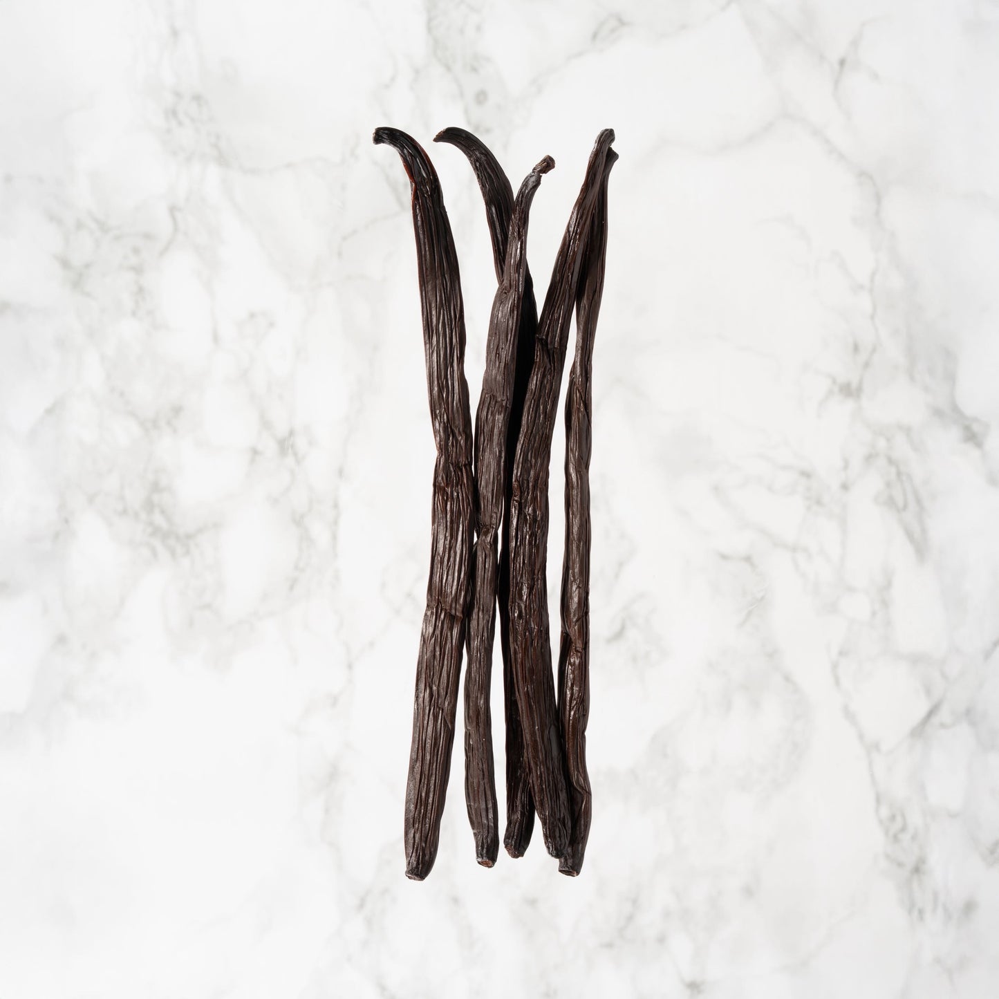 Vanille planifolia de Tanzanie