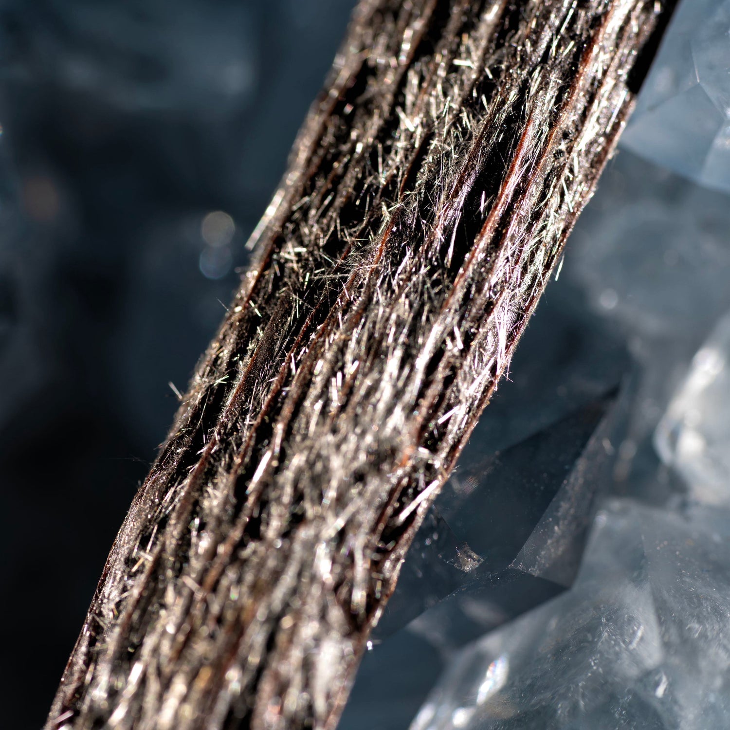 Vanille planifolia fendue givrée de Madagascar