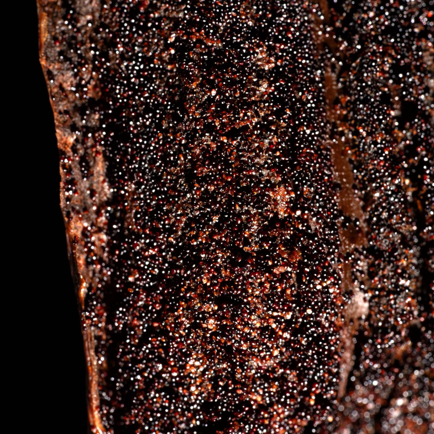 Vanille pompona de Nouvelle-Calédonie