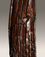 Vanille pompona fendue de Martinique