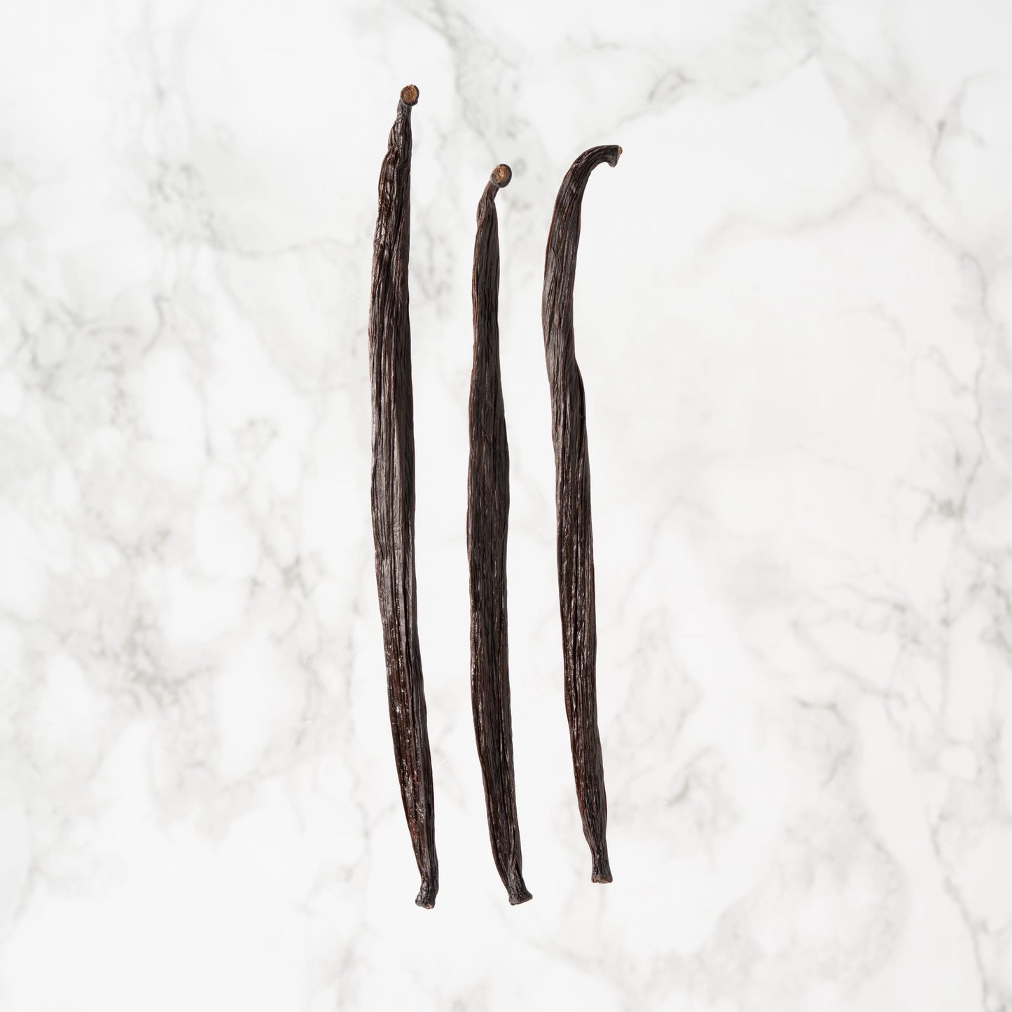 Vanille Tahitensis de l'Équateur