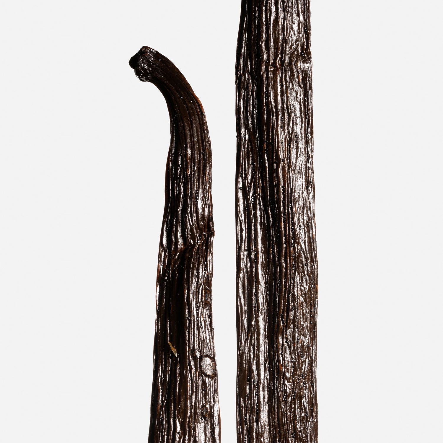 Vanille Planifolia d'Inde