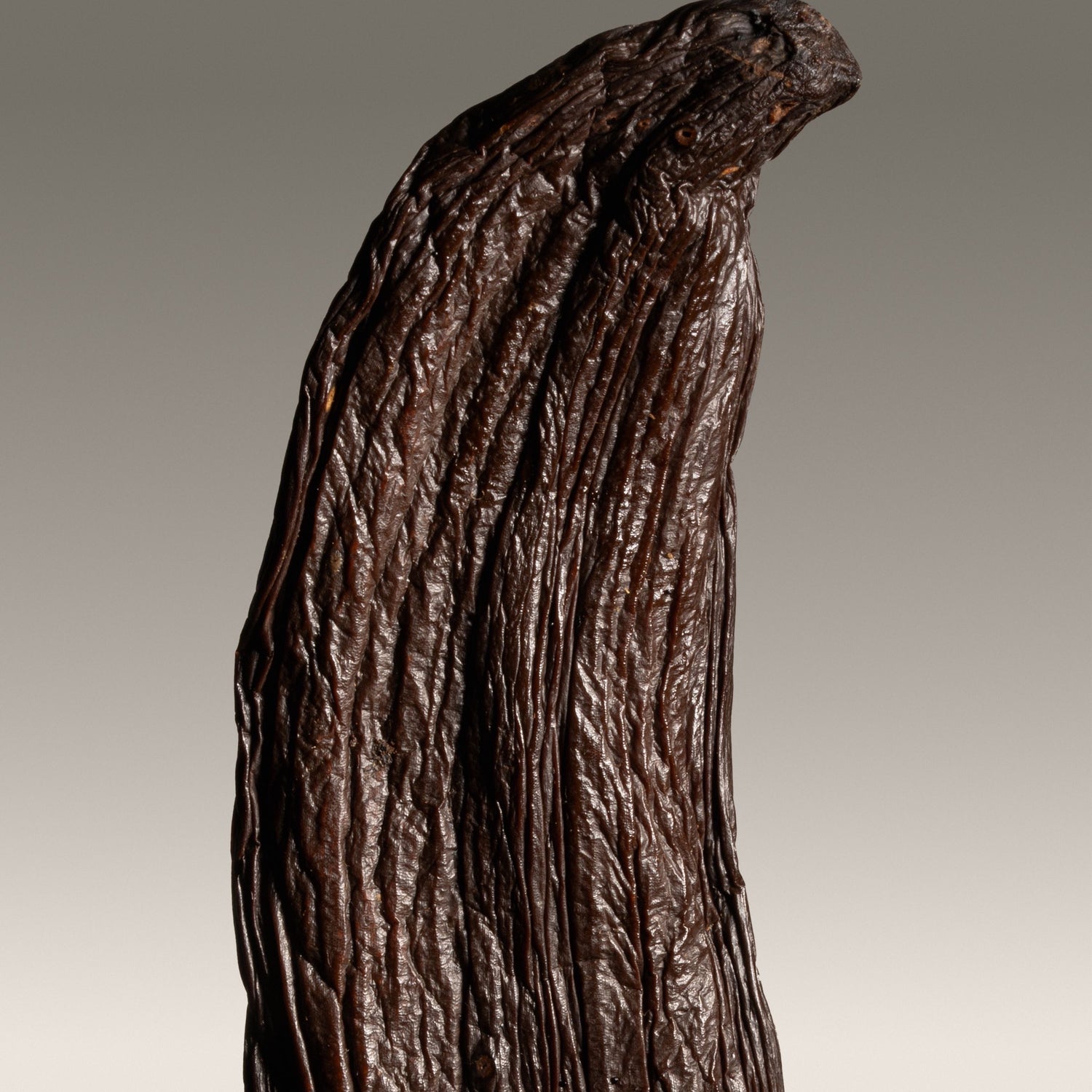 Vanille pompona de Nouvelle-Calédonie