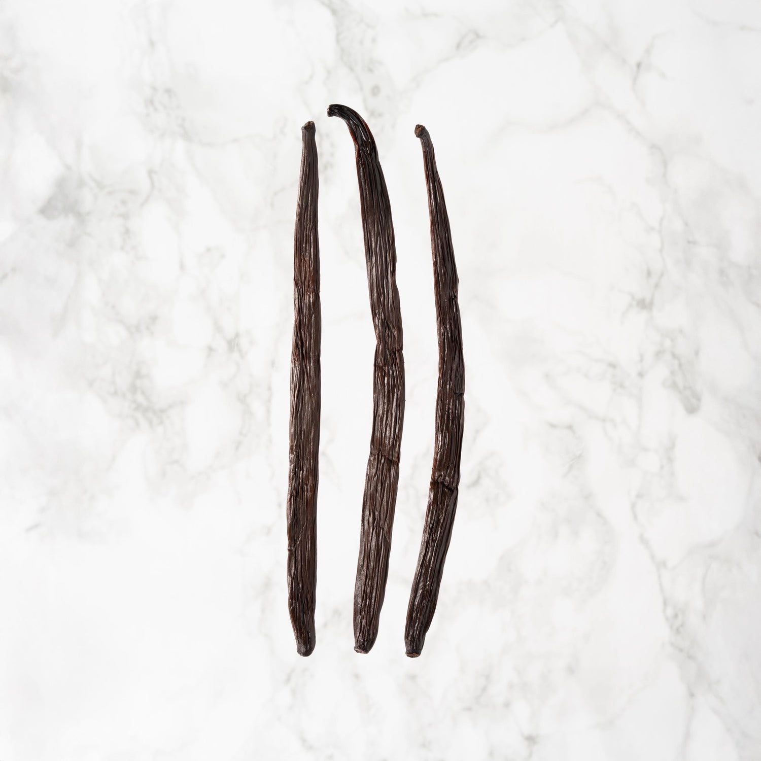 Vanille planifolia de Tanzanie