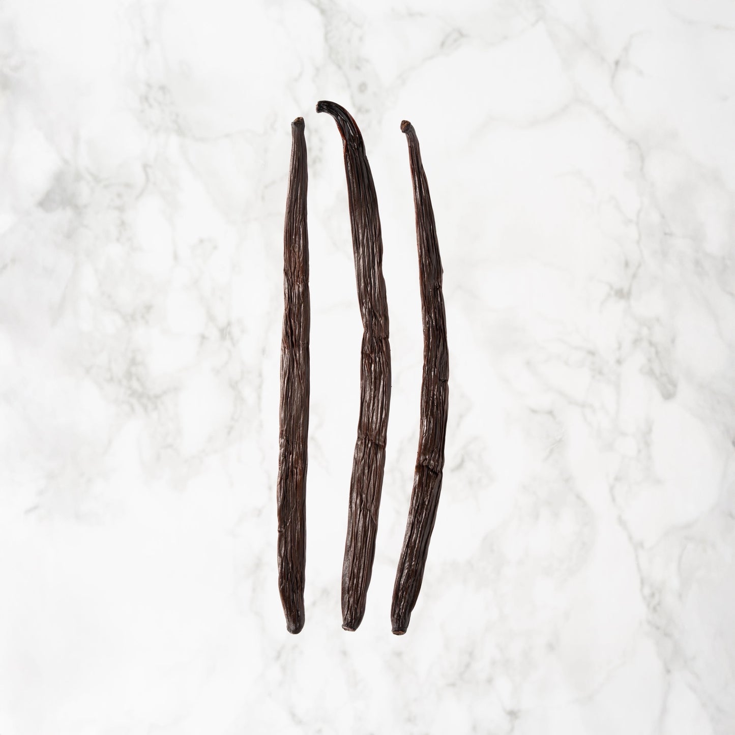 Vanille planifolia de Tanzanie