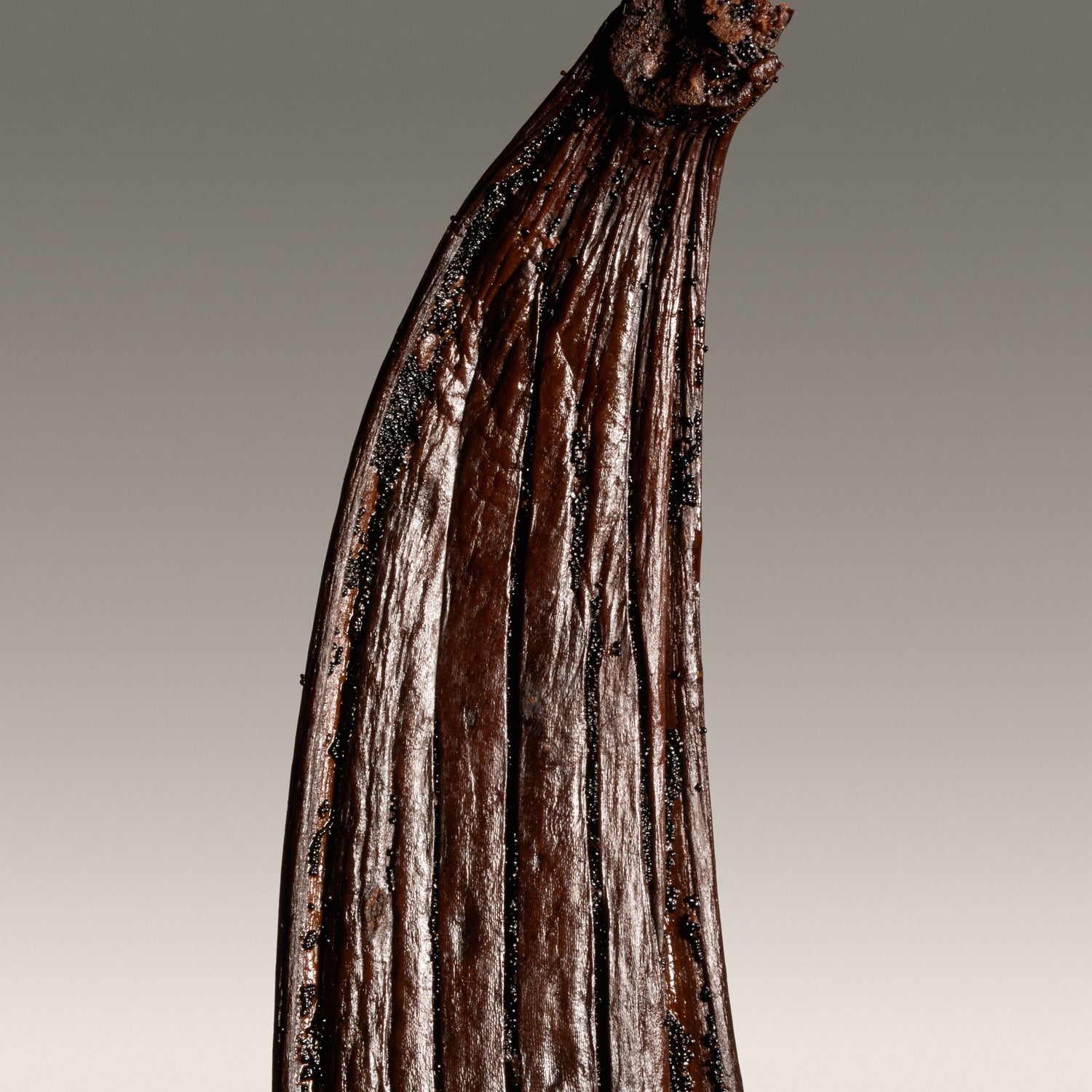 Vanille pompona fendue de Martinique