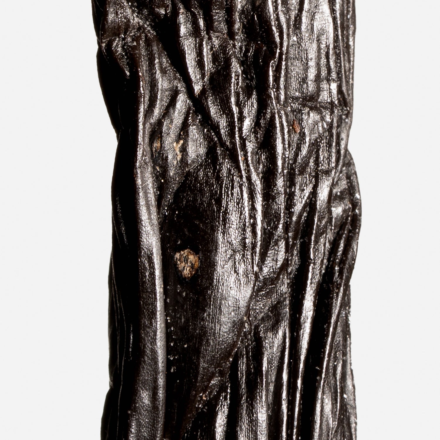 Vanille sotoarenasii de Colombie