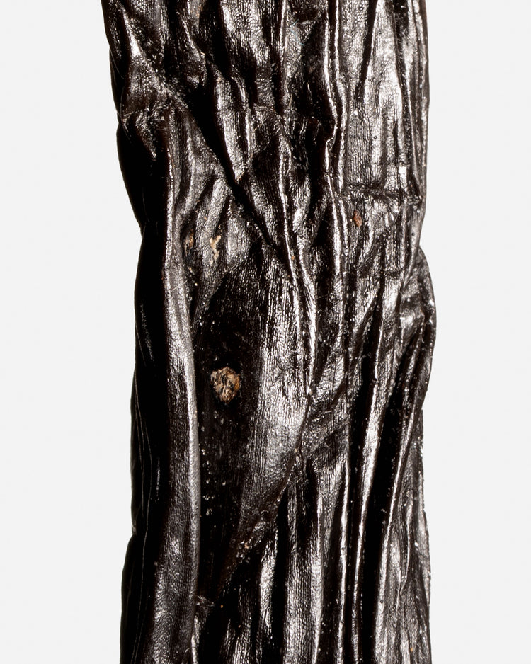 Vanille sotoarenasii de Colombie