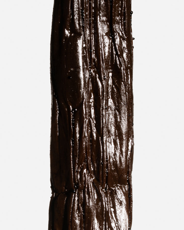 Vanille planifolia Bourbon de Madagascar