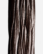 Vanille tahitensis haapape de Tahiti Raiatea