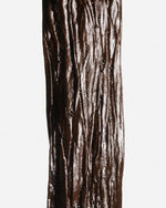 Vanille pompona Tsy Taitry de Madagascar