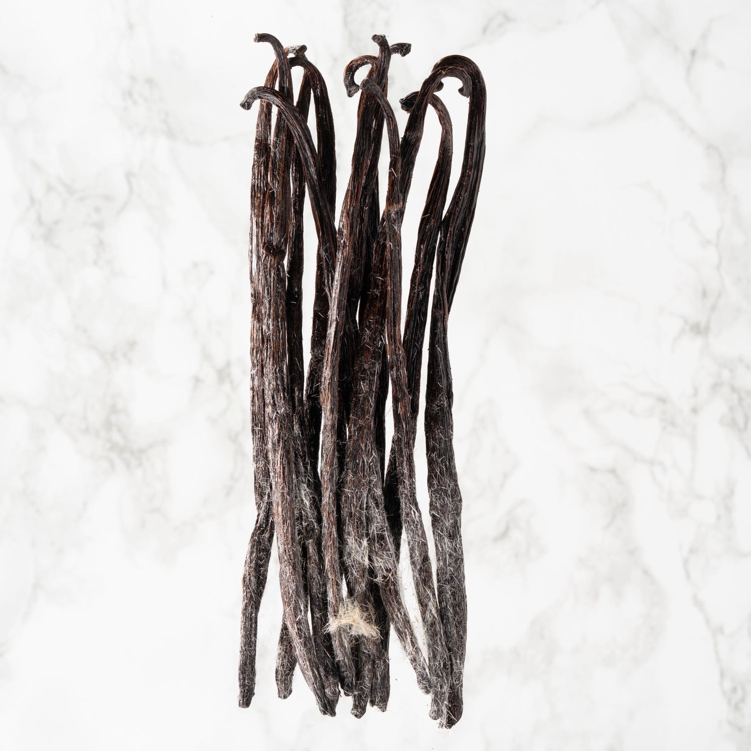 Vanille planifolia fendue givrée de Madagascar