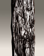 Vanille cribbiana du Guatemala