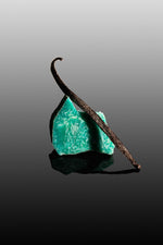 Vanille planifolia givrée de Nouvelle-Calédonie