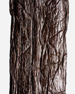 Vanille pompona du Mexique