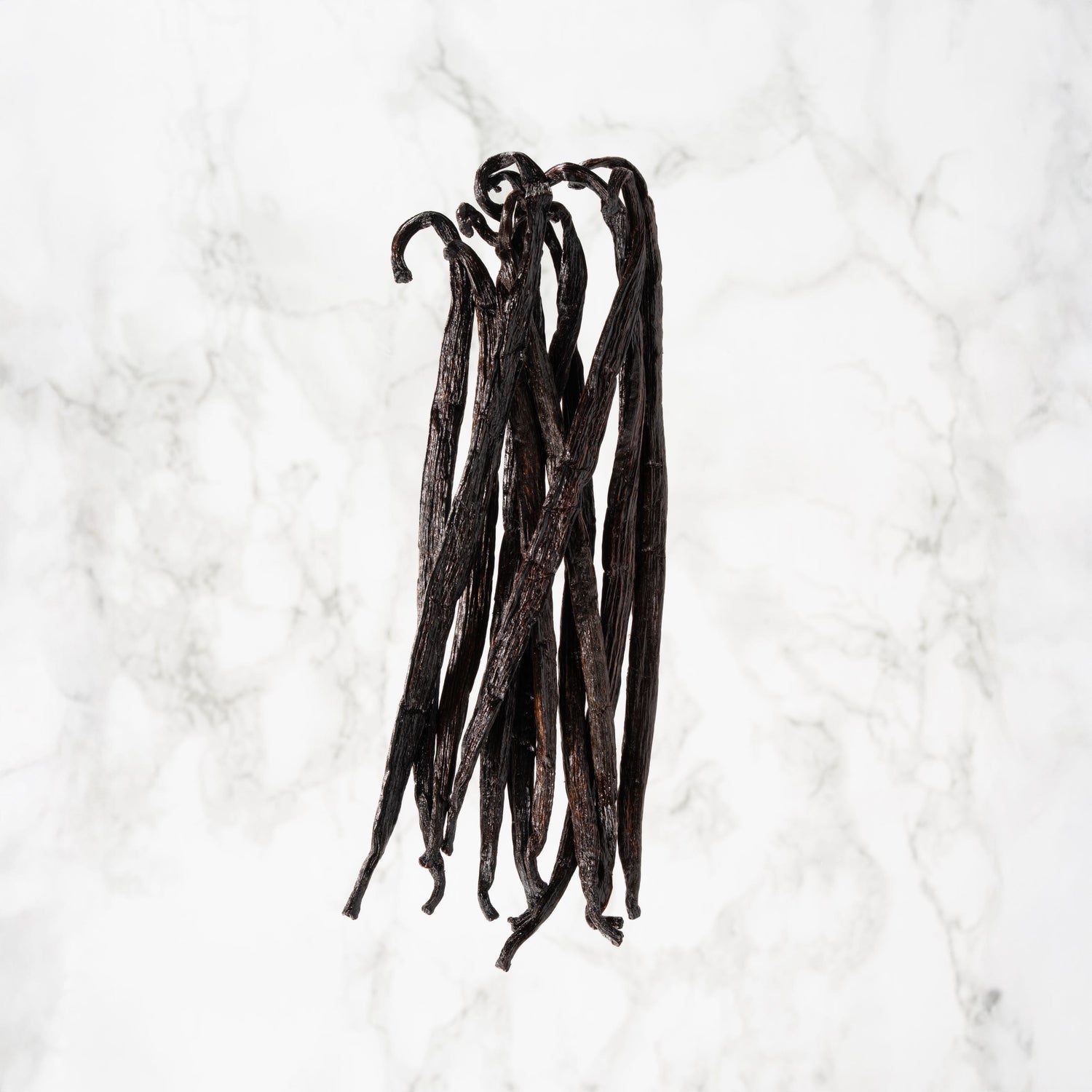 Vanille Odorata de Équateur