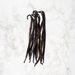 Vanille Odorata de Équateur