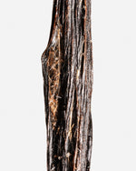 Vanille planifolia givrée de l’île de La Réunion