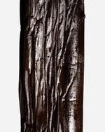 Vanille tahitensis de Tahiti Tahaa