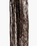 Vanille Planifolia d'Inde