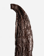 Vanille pompona du Mexique