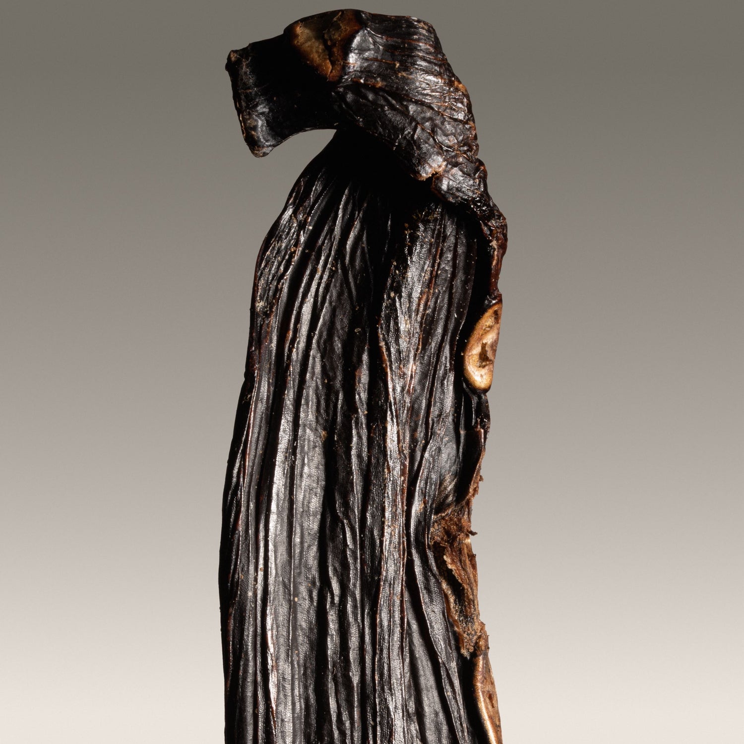 Vanille pompona du Brésil