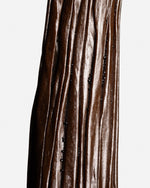 Vanille planifolia de São Tomé