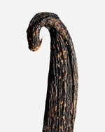 Vanille pompona du Pérou