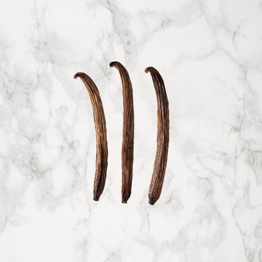 Vanille bahiana du Brésil