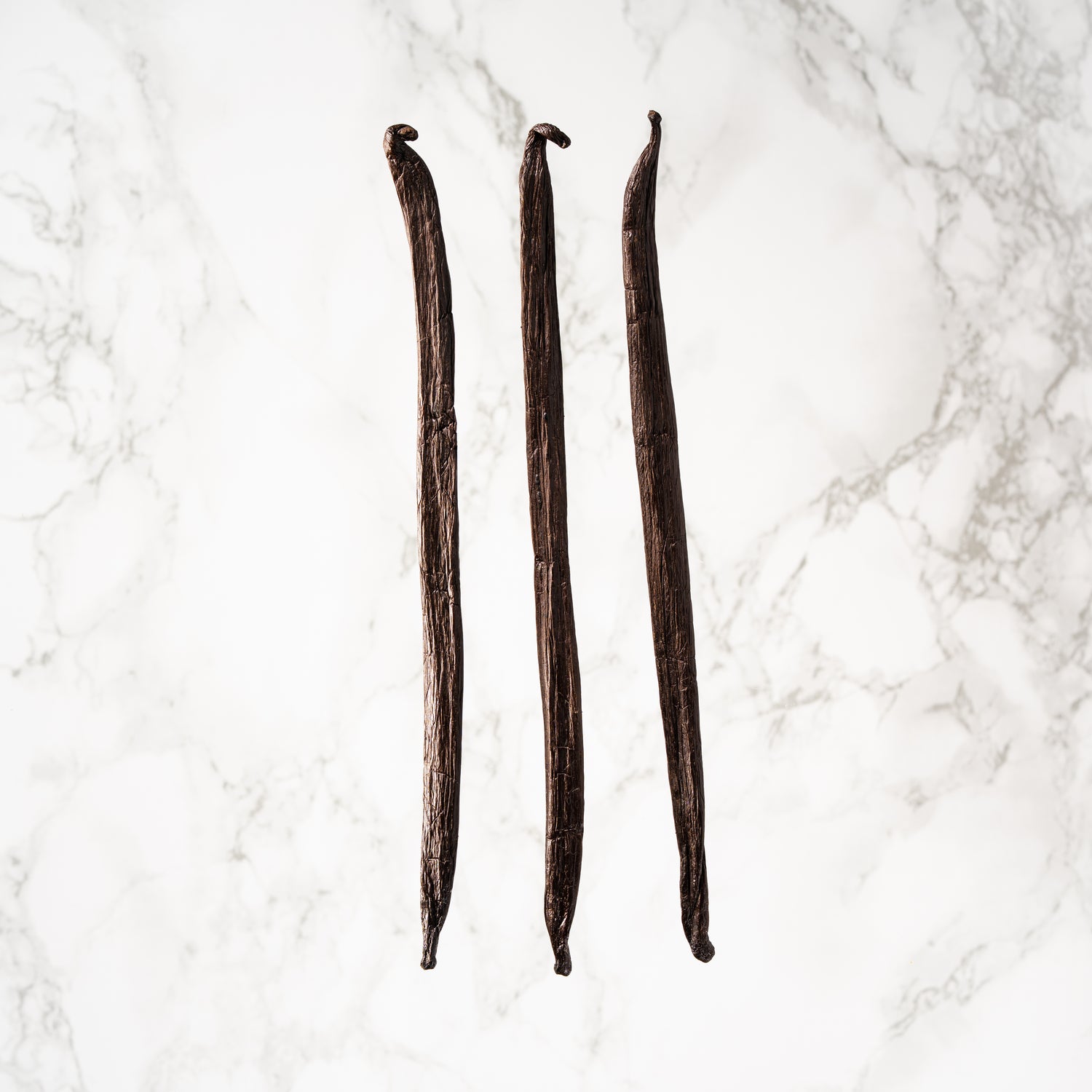 Vanille tahitensis de Tahiti Tahaa